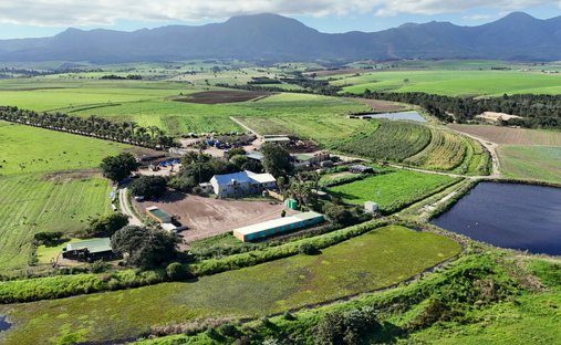 Azienda agricola a George, Capo Occidentale, Sudafrica 1