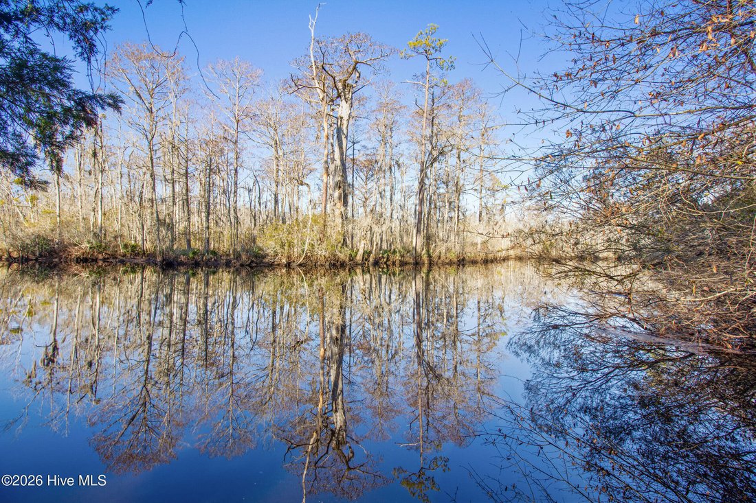 Land in New Bern, North Carolina, United States 1 - 17380655