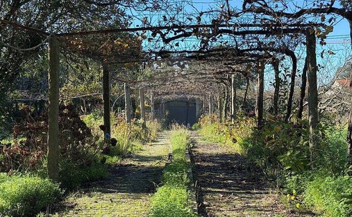 Terreno a Moreira, Oporto, Portogallo 1