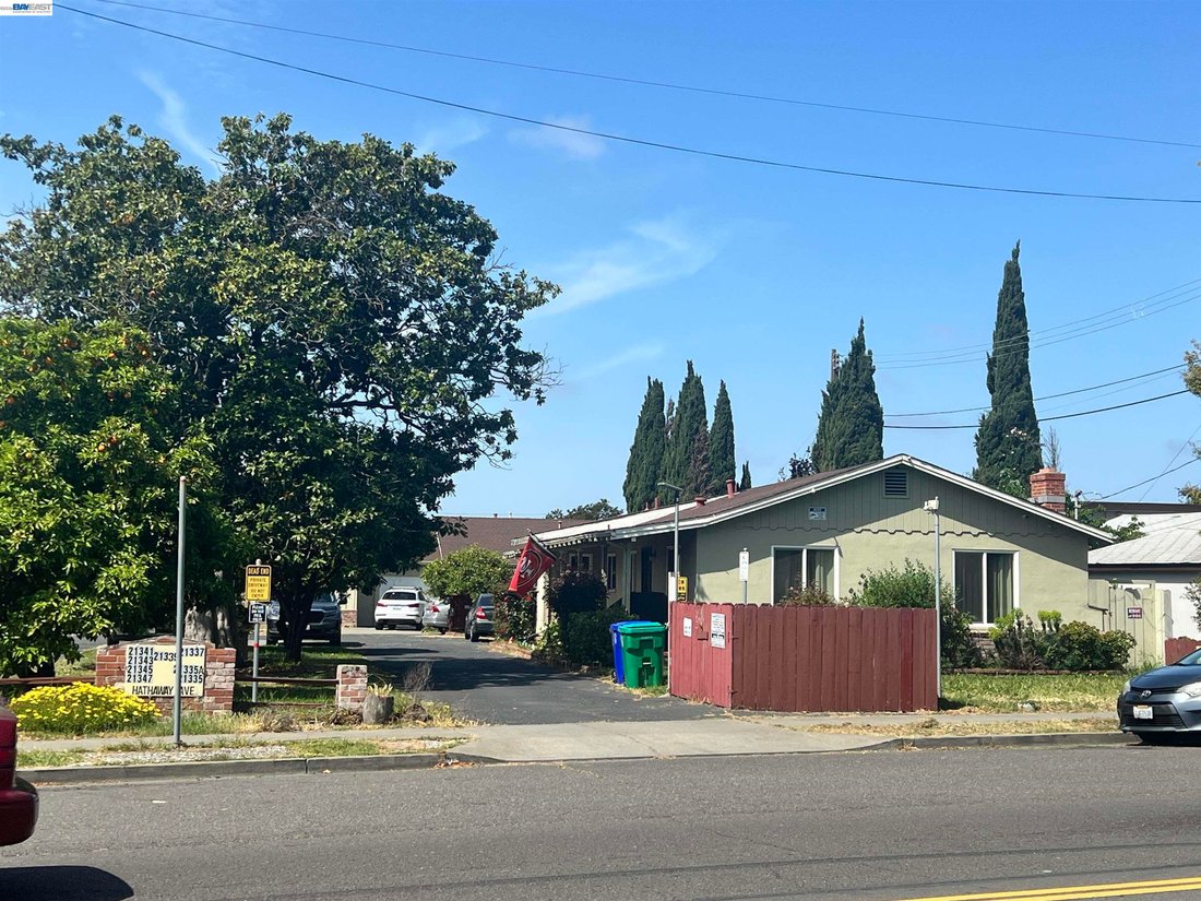 Hayward, California, United States 4 - 17382822