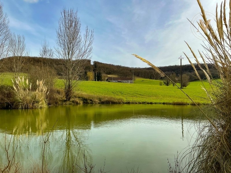 House in Penne-d'Agenais, Nouvelle-Aquitaine, France 4 - 17381831