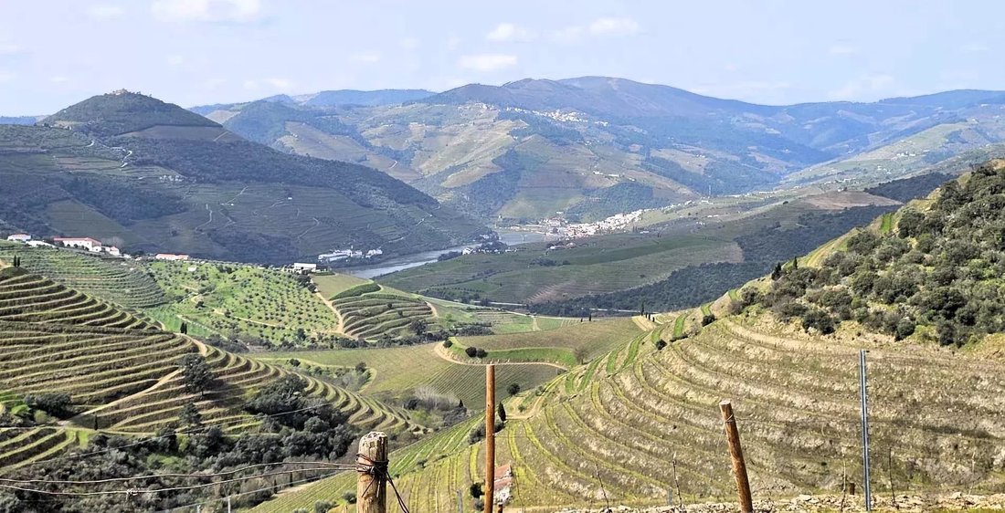 Land in Ervedosa do Douro, Viseu District, Portugal 4 - 16859222
