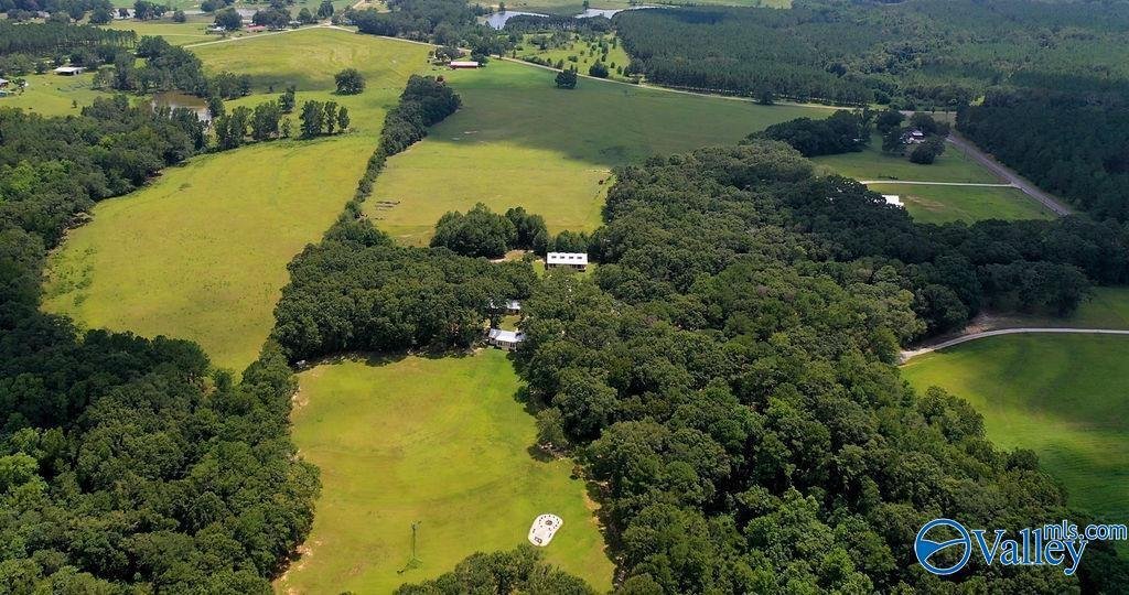 House in Coffee Springs, Alabama, United States 3 - 17384310