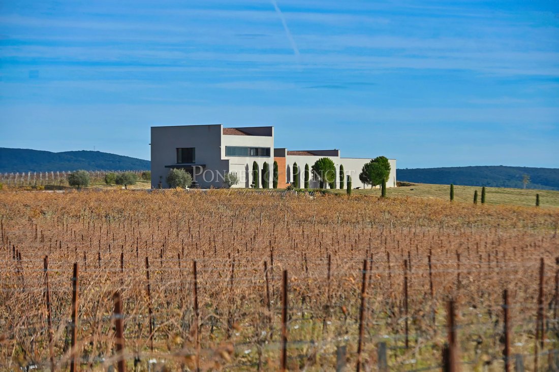 Farm Ranch in Montpeyroux, Occitania, France 5 - 16739915