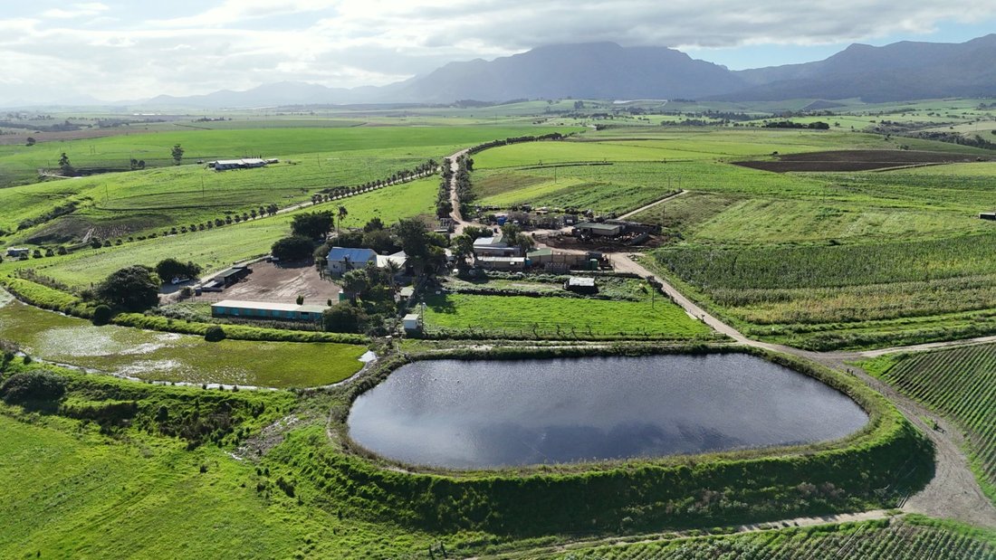 Farm Ranch in George, Western Cape, South Africa 2 - 17383723