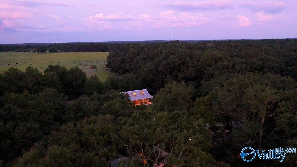 House in Coffee Springs, Alabama, United States 4 - 17384310
