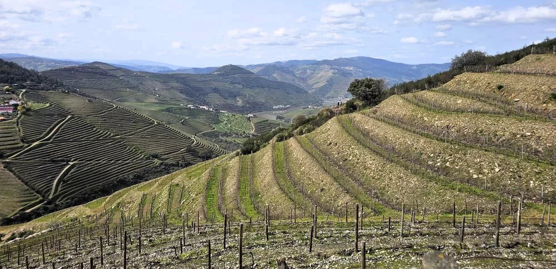 Land in Ervedosa do Douro, Viseu District, Portugal 5 - 16859222