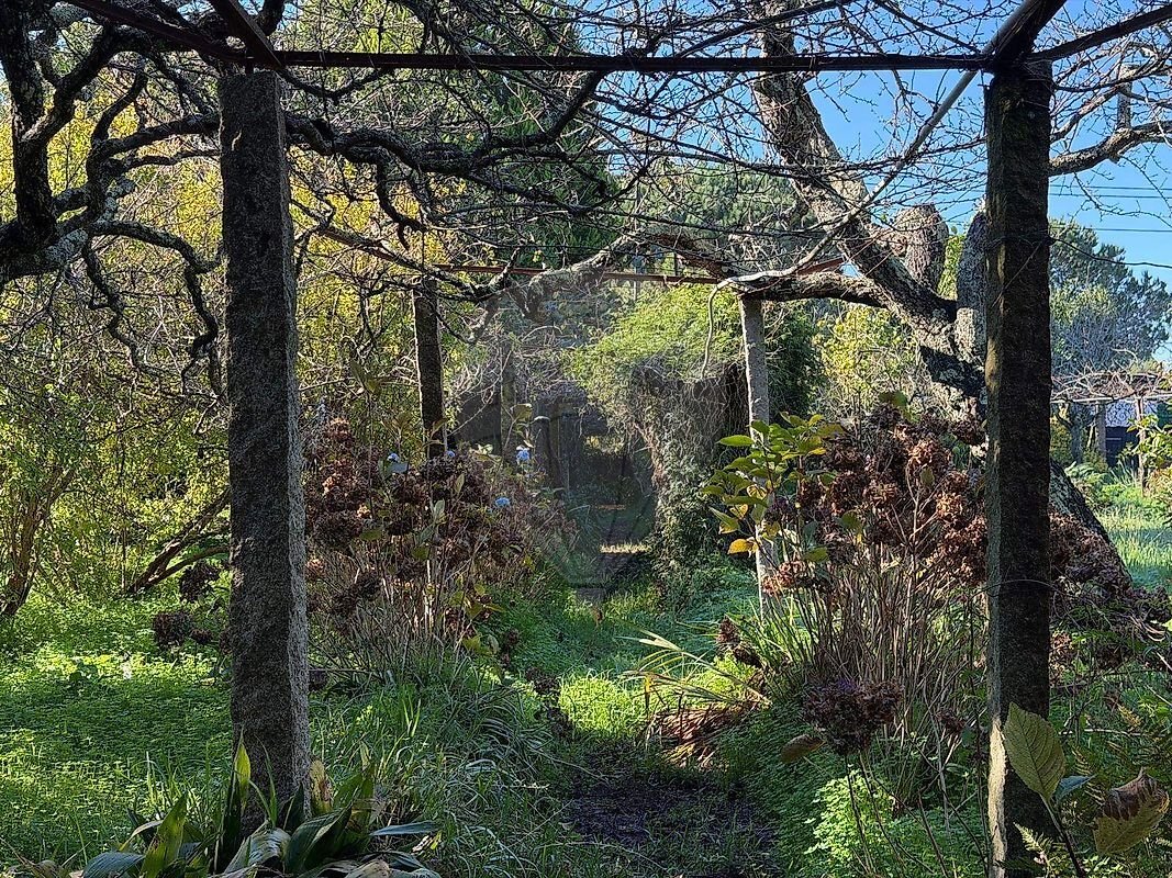 Land in Moreira, Porto District, Portugal 2 - 17381233