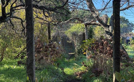 Terreno en Moreira, Distrito de Oporto, Portugal 1