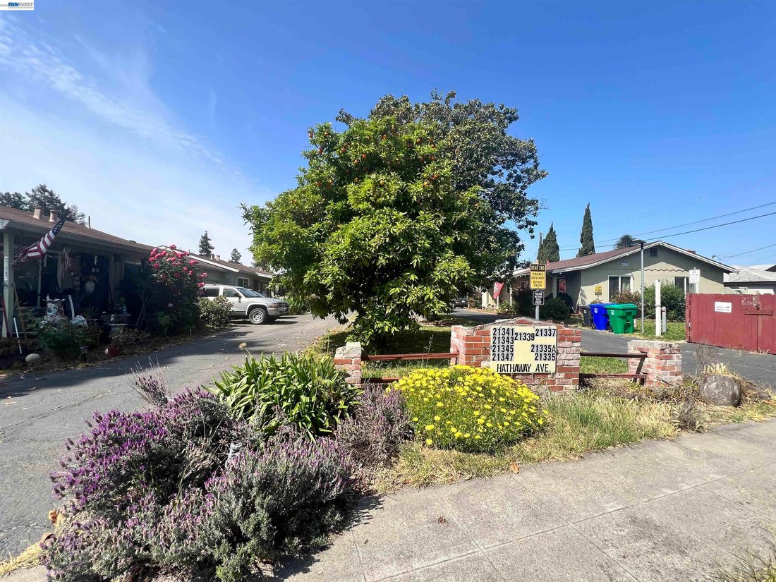 Hayward, California, United States 1 - 17382822