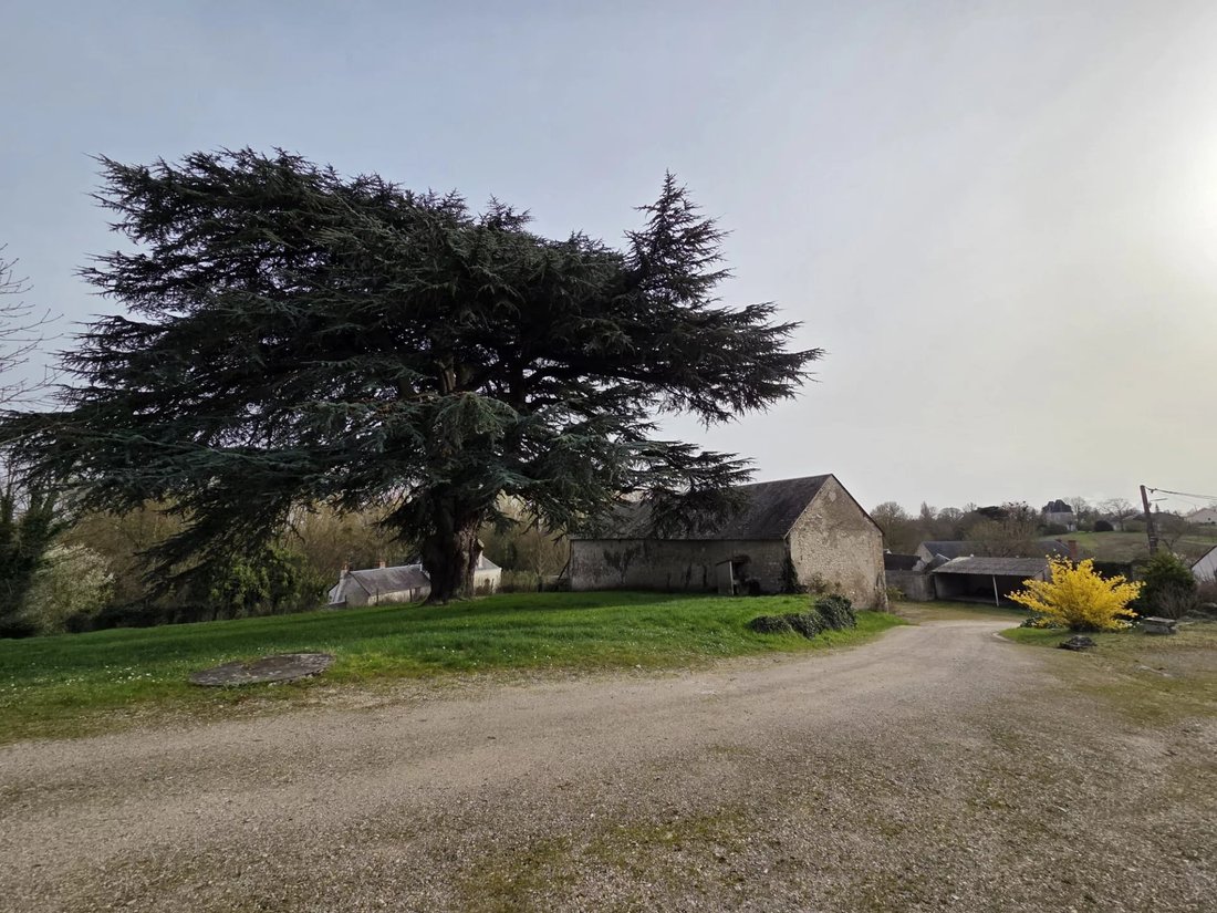 Casa en Tavers, Centro, Francia 3 - 17381672