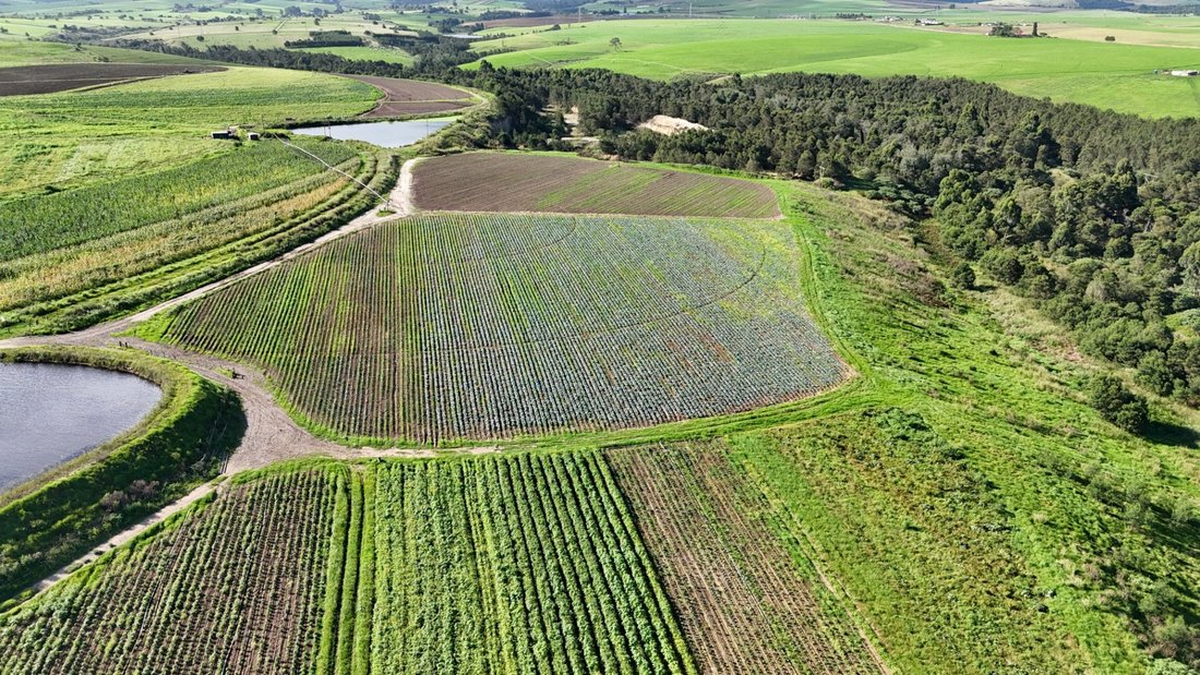 Farm Ranch in George, Western Cape, South Africa 4 - 17383723