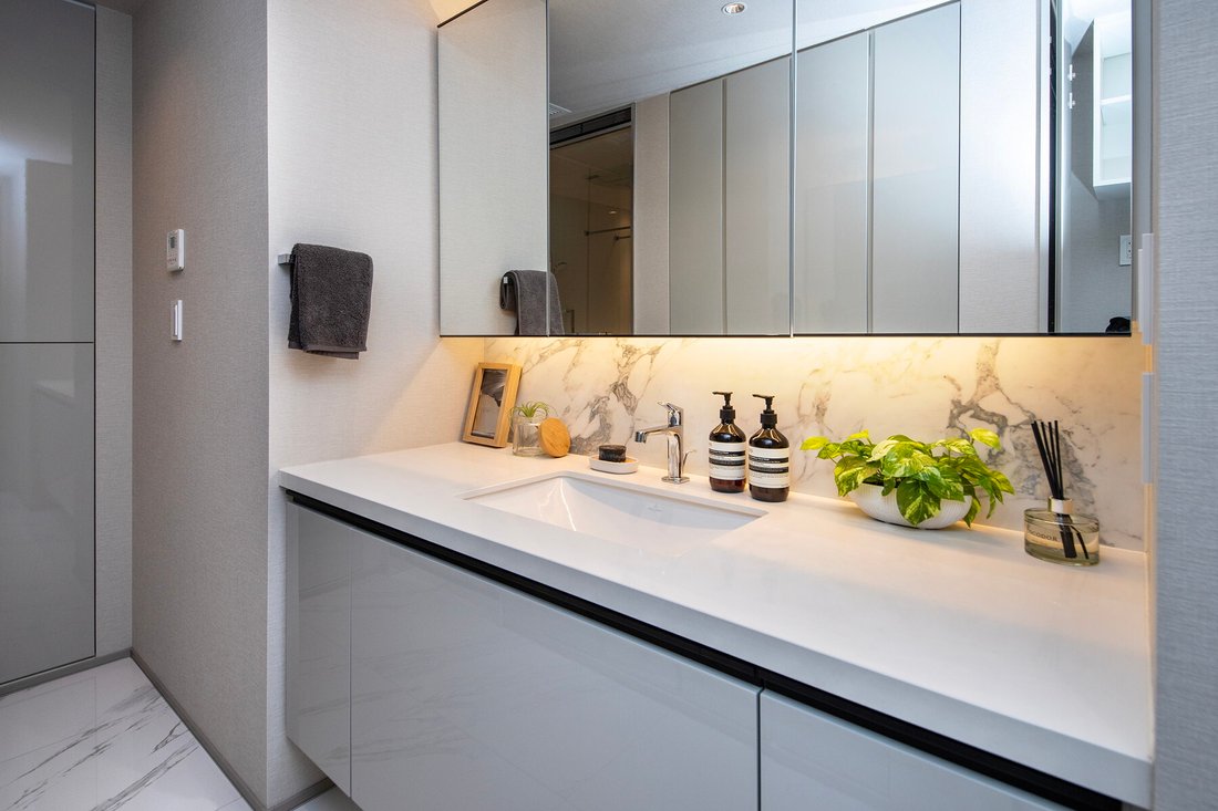 Condo in Minato City, Tokyo, Japan 5 - 17384915