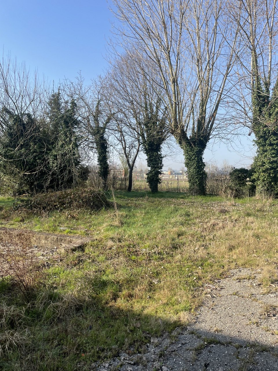 Land in Laghetto - Maddalene, Vicenza, Veneto 3 - 17384611