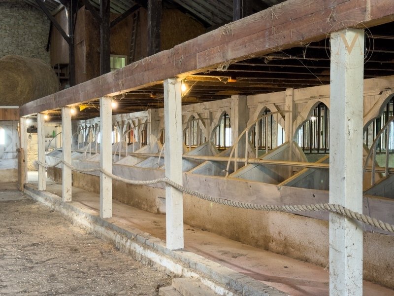 House in Penne-d'Agenais, Nouvelle-Aquitaine, France 5 - 17381831