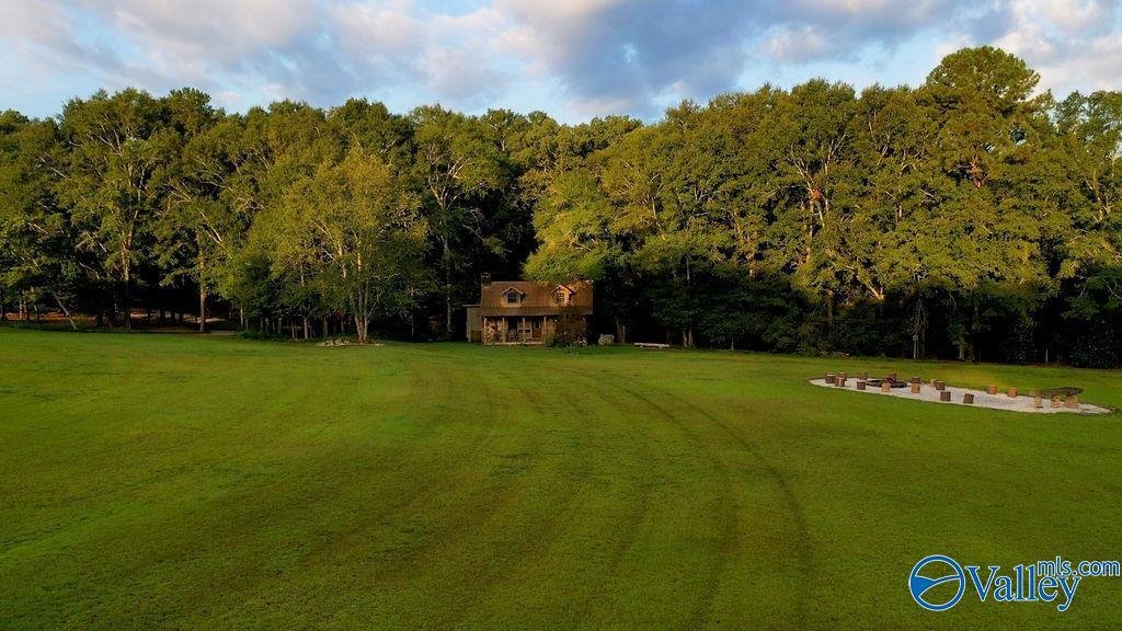 House in Coffee Springs, Alabama, United States 5 - 17384310