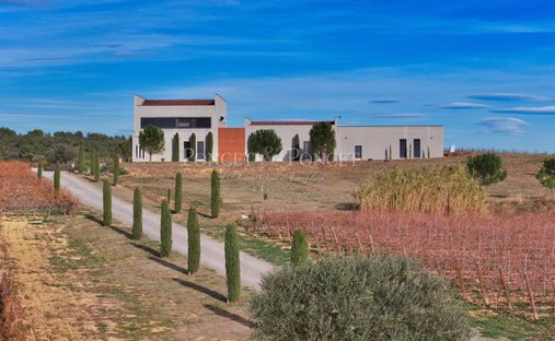 Farm Ranch in Montpeyroux, Occitania, France 1