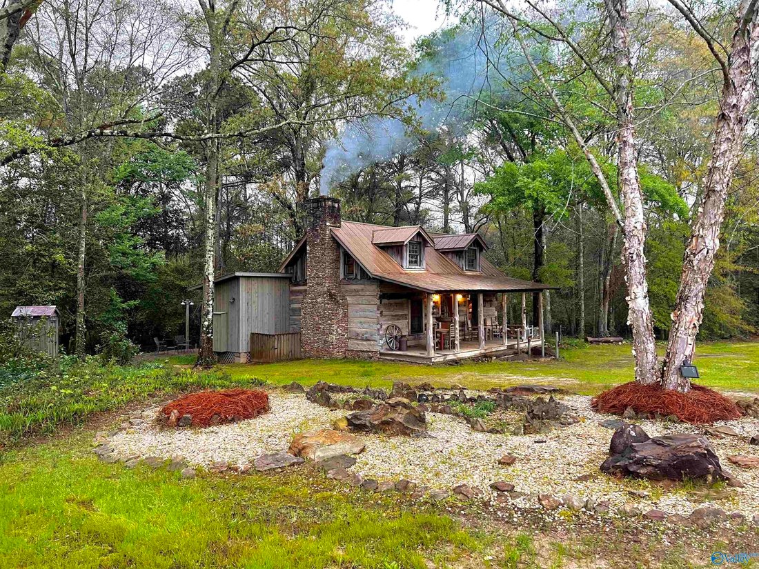 House in Coffee Springs, Alabama, United States 1 - 17384310