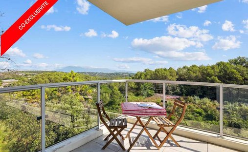 Apartment in Bois Fleuri-Chevre d'Or-Saint Philippe, Biot, France 1