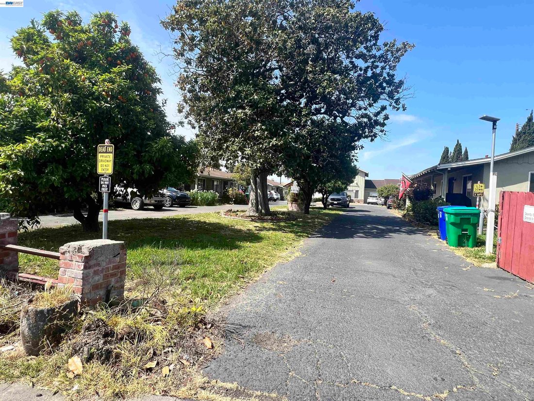 Hayward, California, United States 5 - 17382822