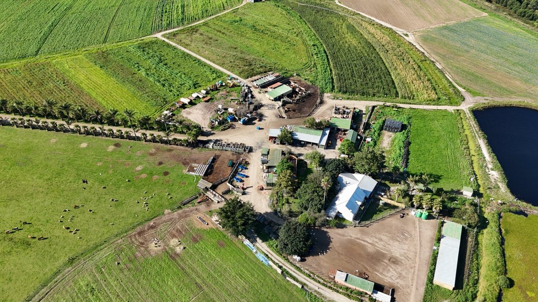 Farm Ranch in George, Western Cape, South Africa 3 - 17383723