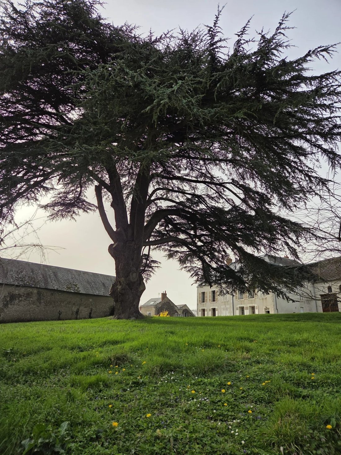 Casa en Tavers, Centro, Francia 2 - 17381672