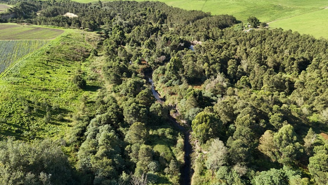 Farm Ranch in George, Western Cape, South Africa 5 - 17383723