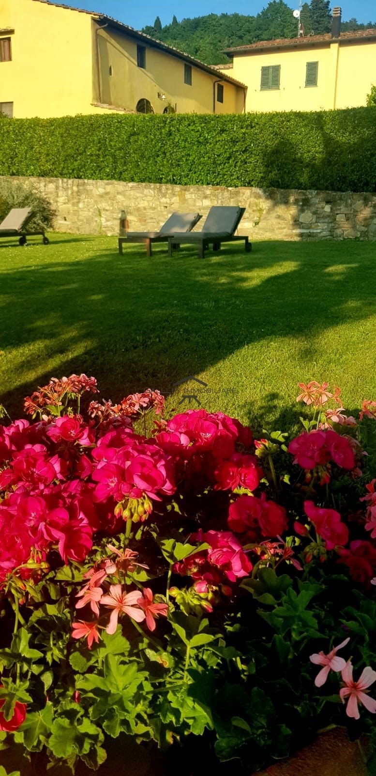 Estate in Fiesole, Tuscany, Italy 4 - 17380725