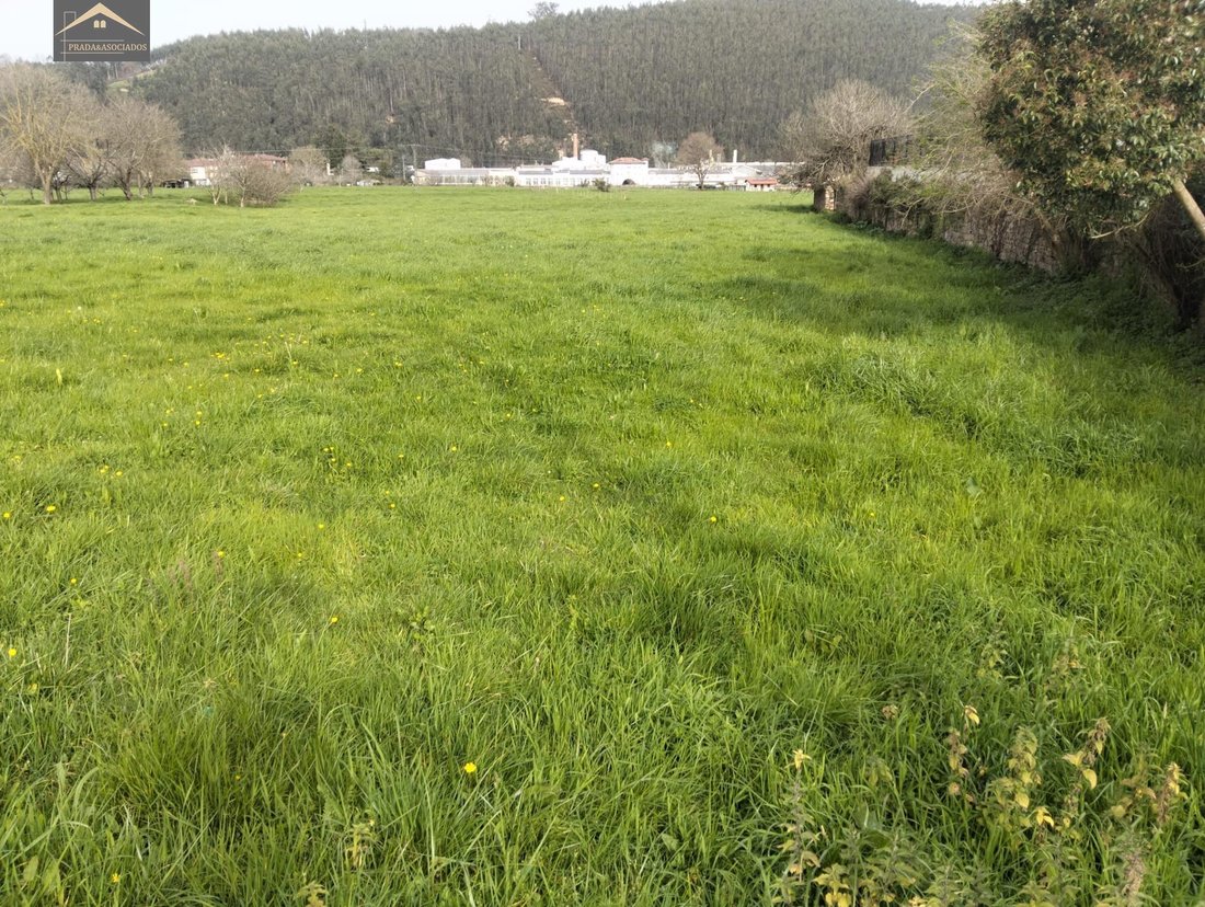Cabezon de la Sal, Cantabria, Spain 4 - 17382993