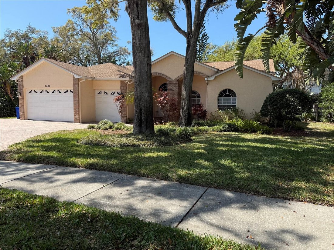 House in Dunedin, Florida, United States 4 - 17383146
