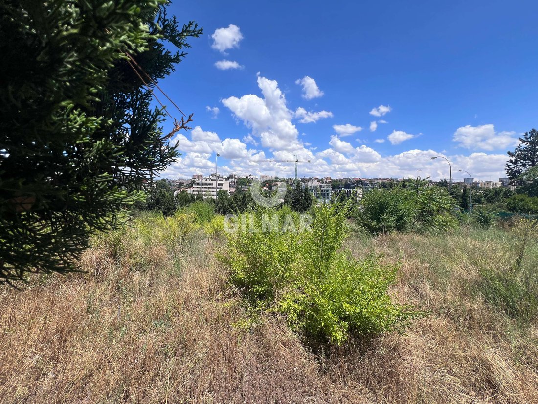 Fuencarral-El Pardo, Madrid, Spain 2 - 17381556