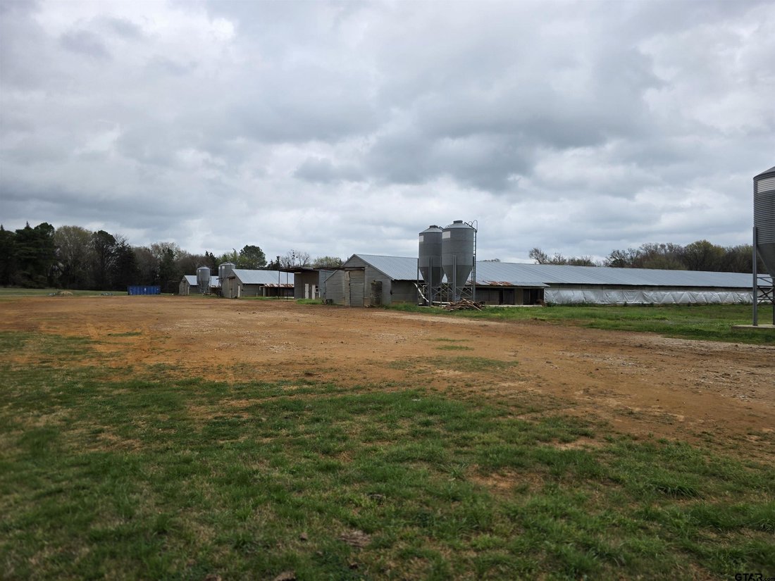 Farm Ranch in Pittsburg, Texas, United States 1 - 17382336