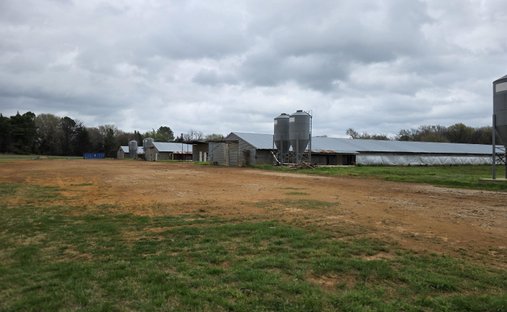 Farm Ranch in Pittsburg, Texas, Vereinigte Staaten 1