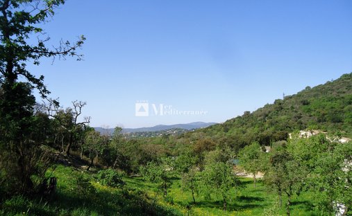 Grimaud, Provence-Alpes-Côte d'Azur, France 1