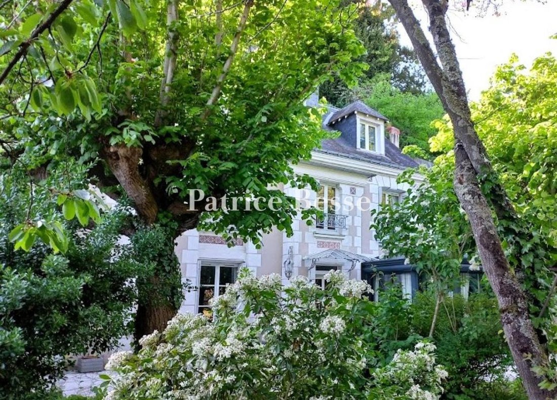 House in Tours, Centre-Val de Loire, France 1 - 15942830