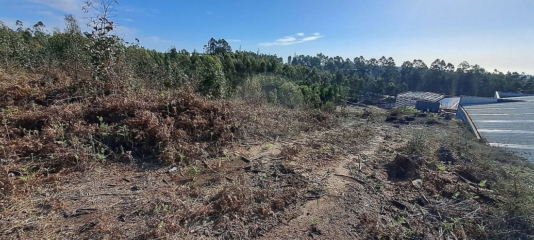 Terreno a Argoncilhe, Distretto di Aveiro, Portogallo 4 - 17240942