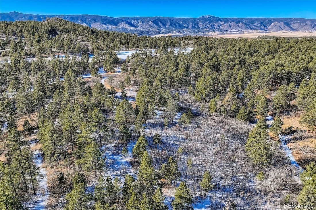 House in Larkspur, Colorado, United States 5 - 17380561