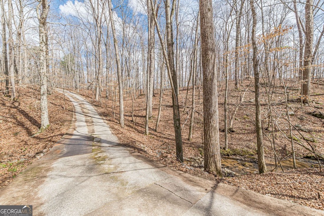 House in Douglasville, Georgia, United States 5 - 17383656