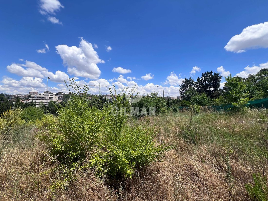 Fuencarral-El Pardo, Madrid, Spain 4 - 17381556