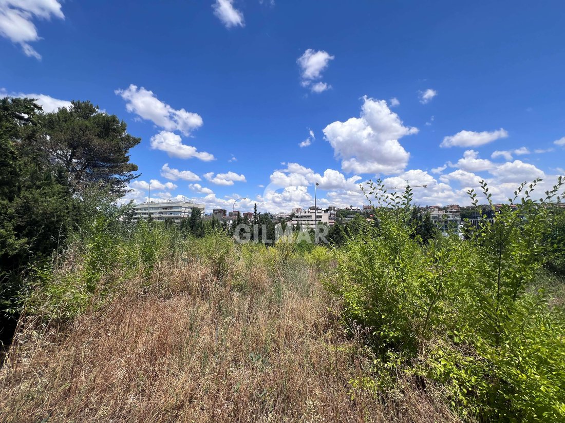 Fuencarral-El Pardo, Madrid, Spain 5 - 17381556