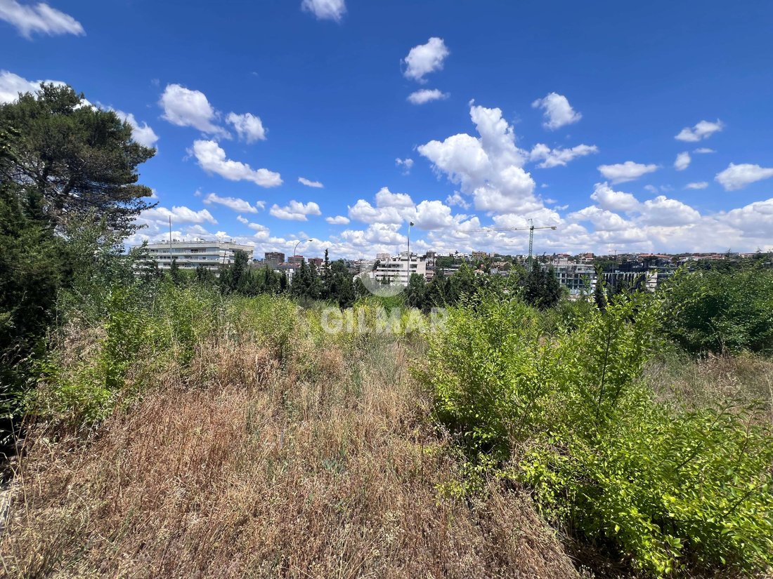 Centro, Madrid, Spain 1 - 17381474