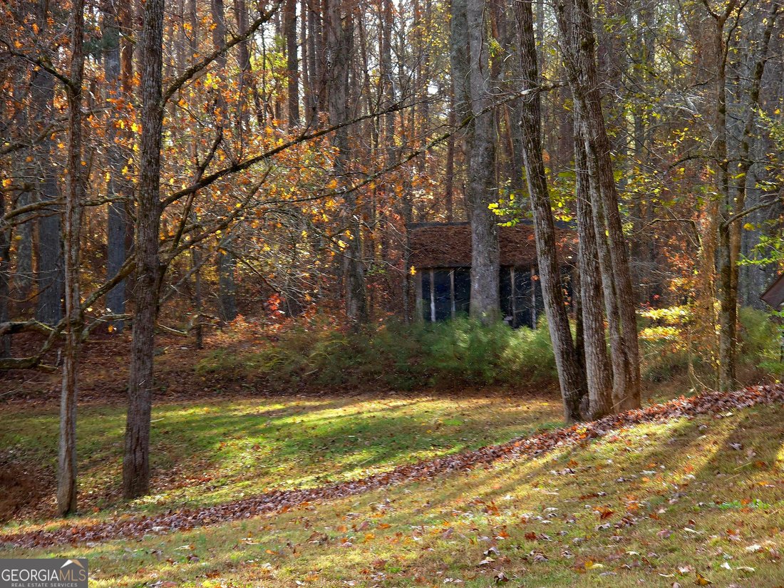 House in Ball Ground, Georgia, United States 5 - 17381179