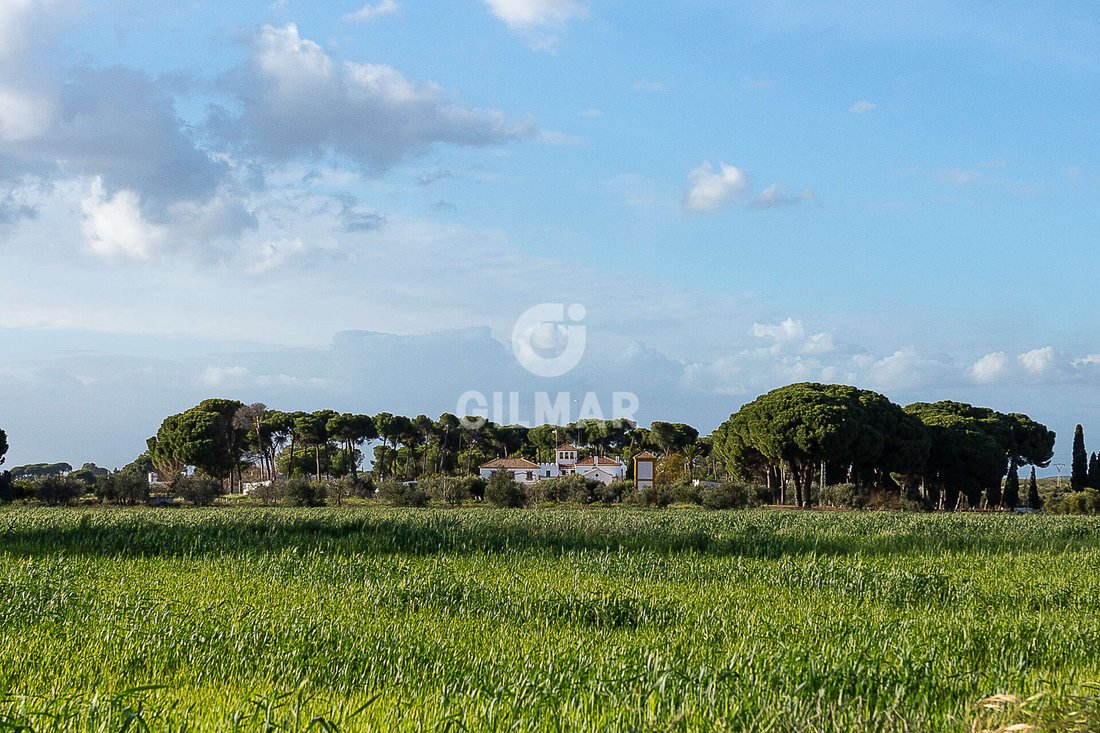 Villa in Marchena, Andalusia, Spain 1 - 17381767