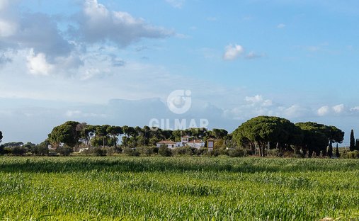 Villa in Marchena, Andalusia, Spain 1