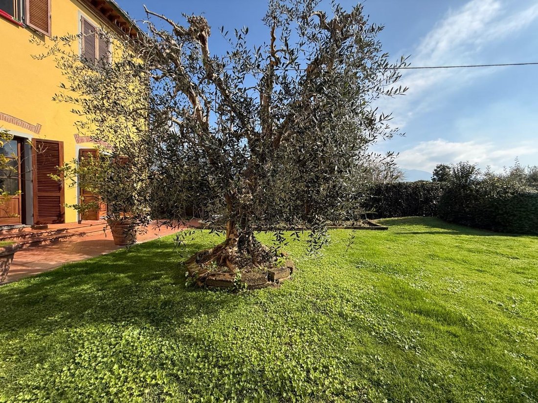 Pontasserchio, San Giuliano Terme, Tuscany 2 - 17384246