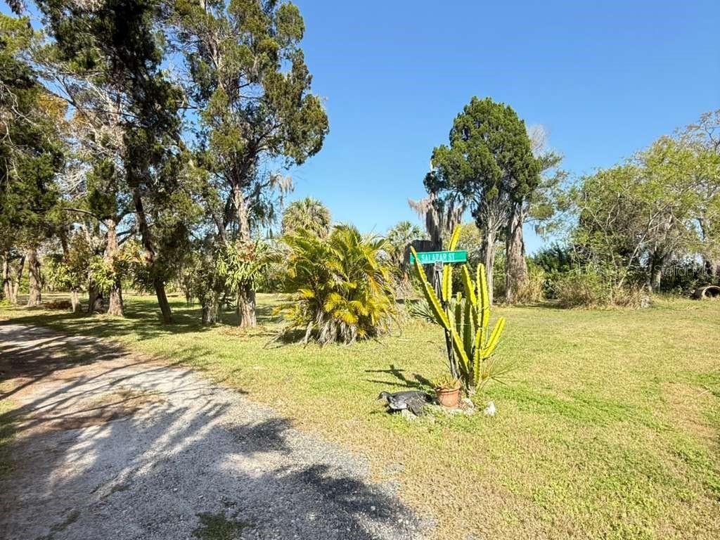 House in Tampa, Florida, United States 4 - 17383175
