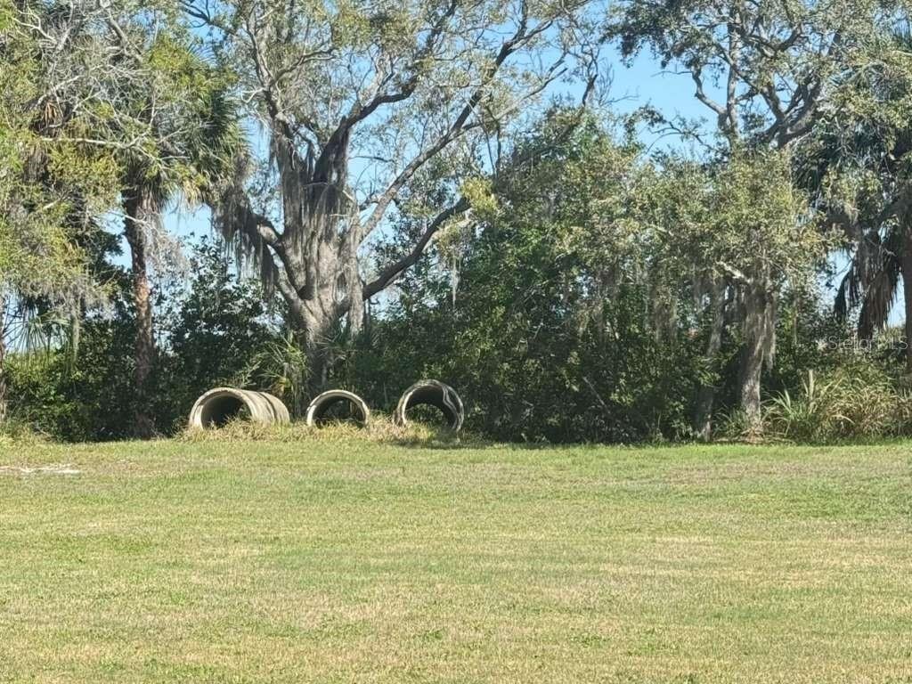 House in Tampa, Florida, United States 5 - 17383175