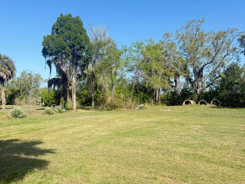 House in Tampa, Florida, United States 2 - 17383175