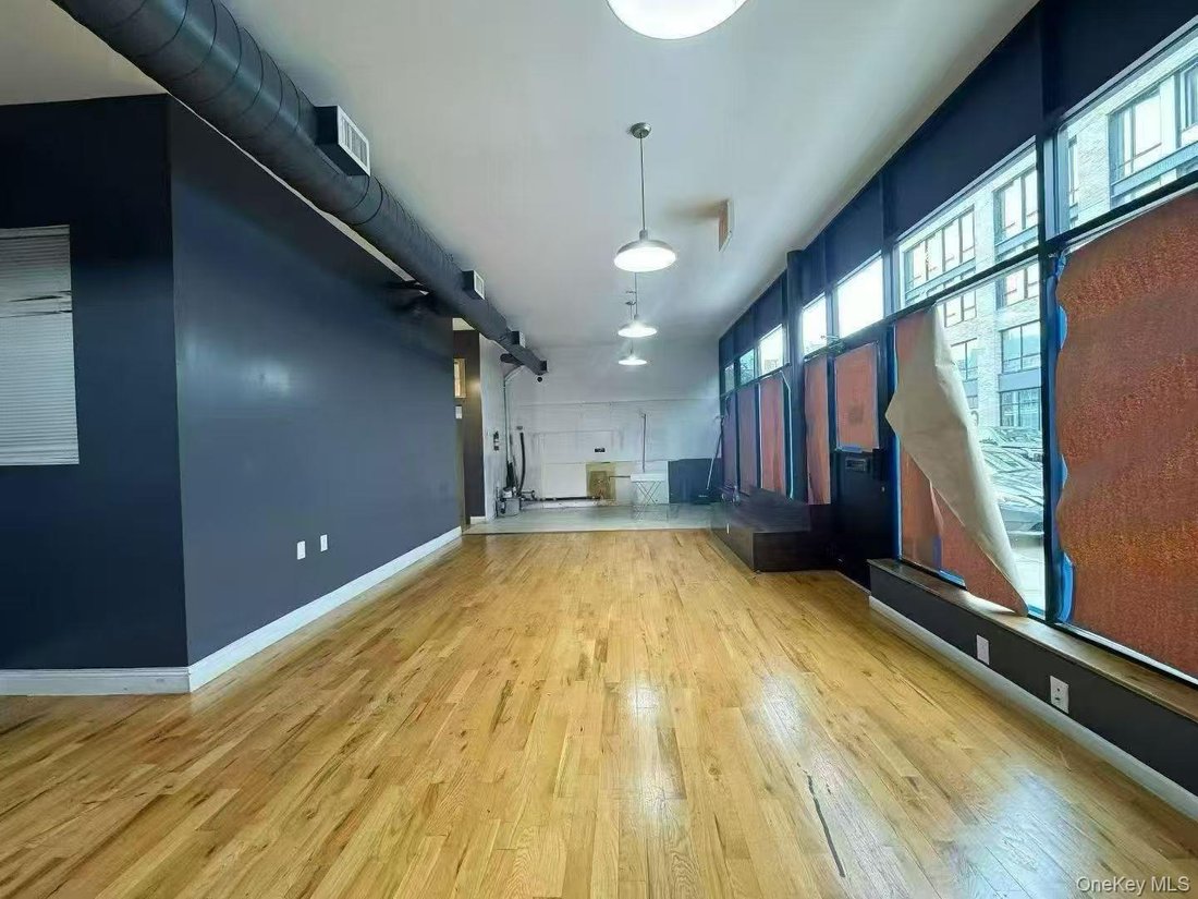 House in New York, New York, United States 5 - 17380604