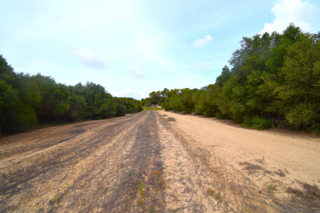 Land in Muro, Balearic Islands, Spain 3 - 17383063